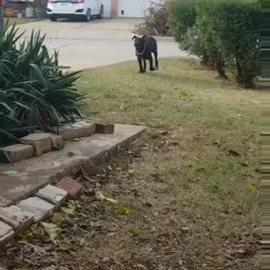 Meet your Posher, Bradley